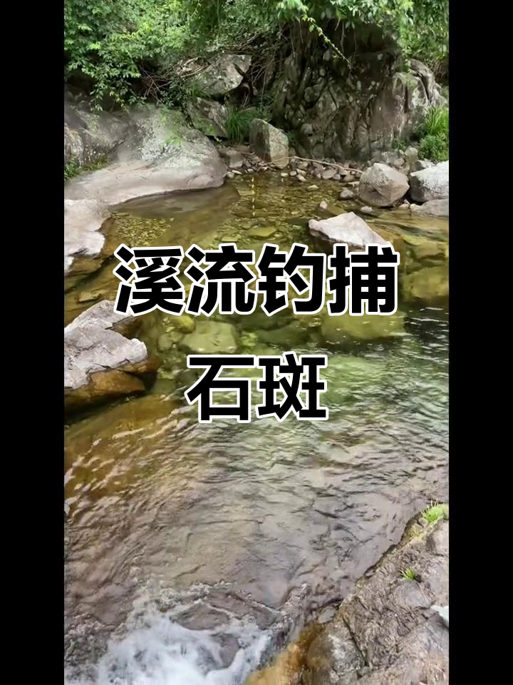 溪流钓小技巧,轻松捕捉石斑鱼