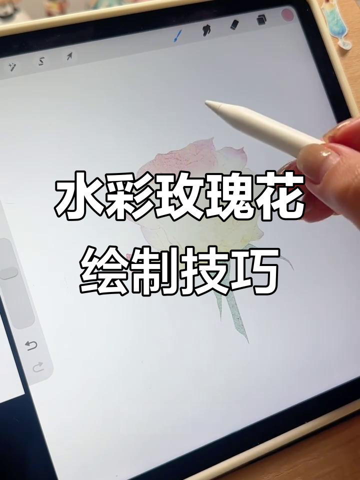 温柔玫瑰水彩插画教程，轻松掌握细节与层次感