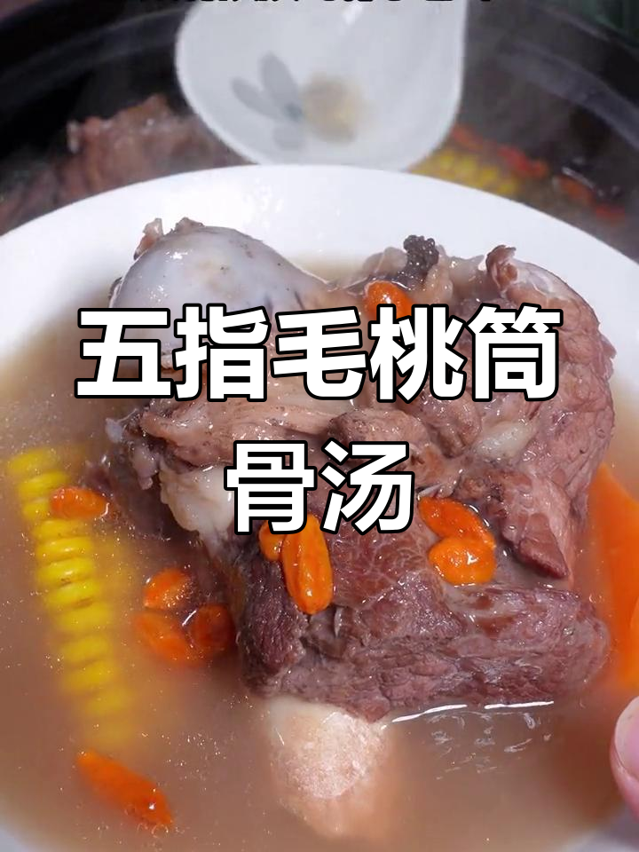 五指毛桃筒骨汤,椰香浓郁,祛湿开胃