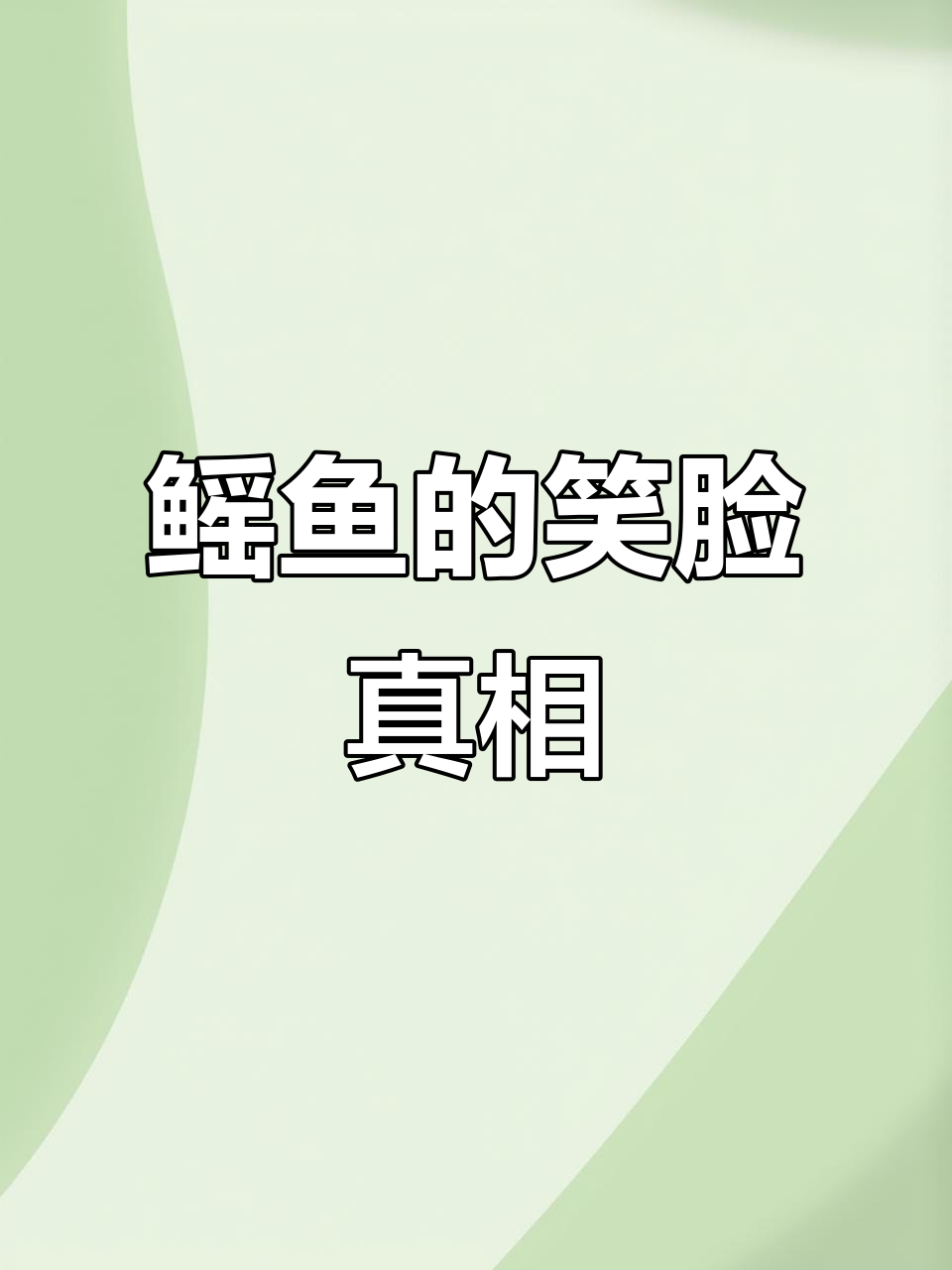 鳐鱼“笑”的背后:是可爱还是痛苦?