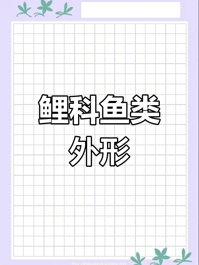 鲤科鱼类的形态特征解析