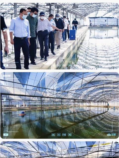 网眼看镇江 争得新荣光「镇江扬中江之源生态养殖基地」培育壮大特色产业,扬中大力推进省级现代