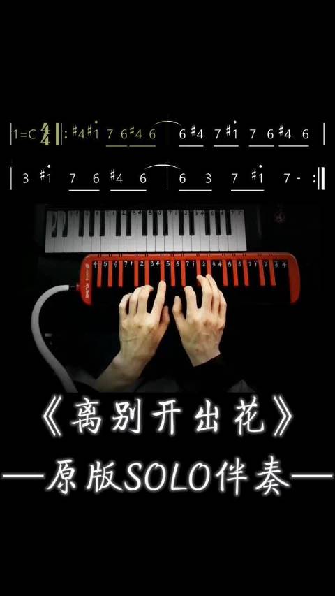 《离别开出花》原版SOLO伴奏有声动态简谱