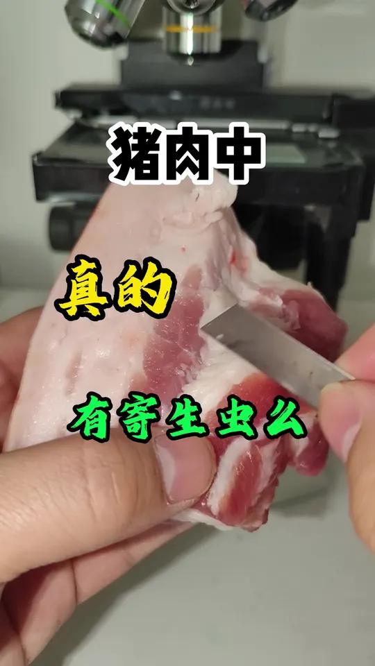 原来家还可以这样 猪肉中真的有寄生虫么