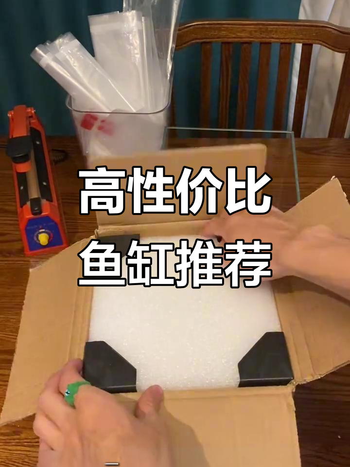 性价比超高的鱼缸推荐,适合养斗鱼的理想选择