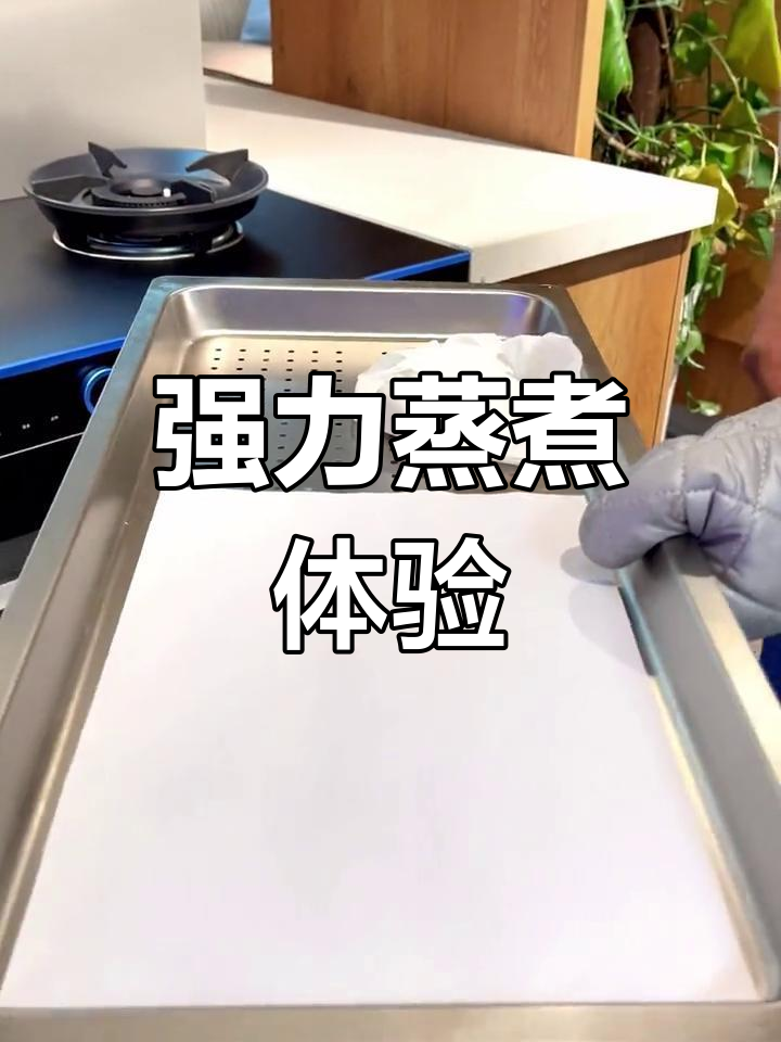 蓝影集成灶,蒸汽强劲不滴水,内外一体设计超强性能