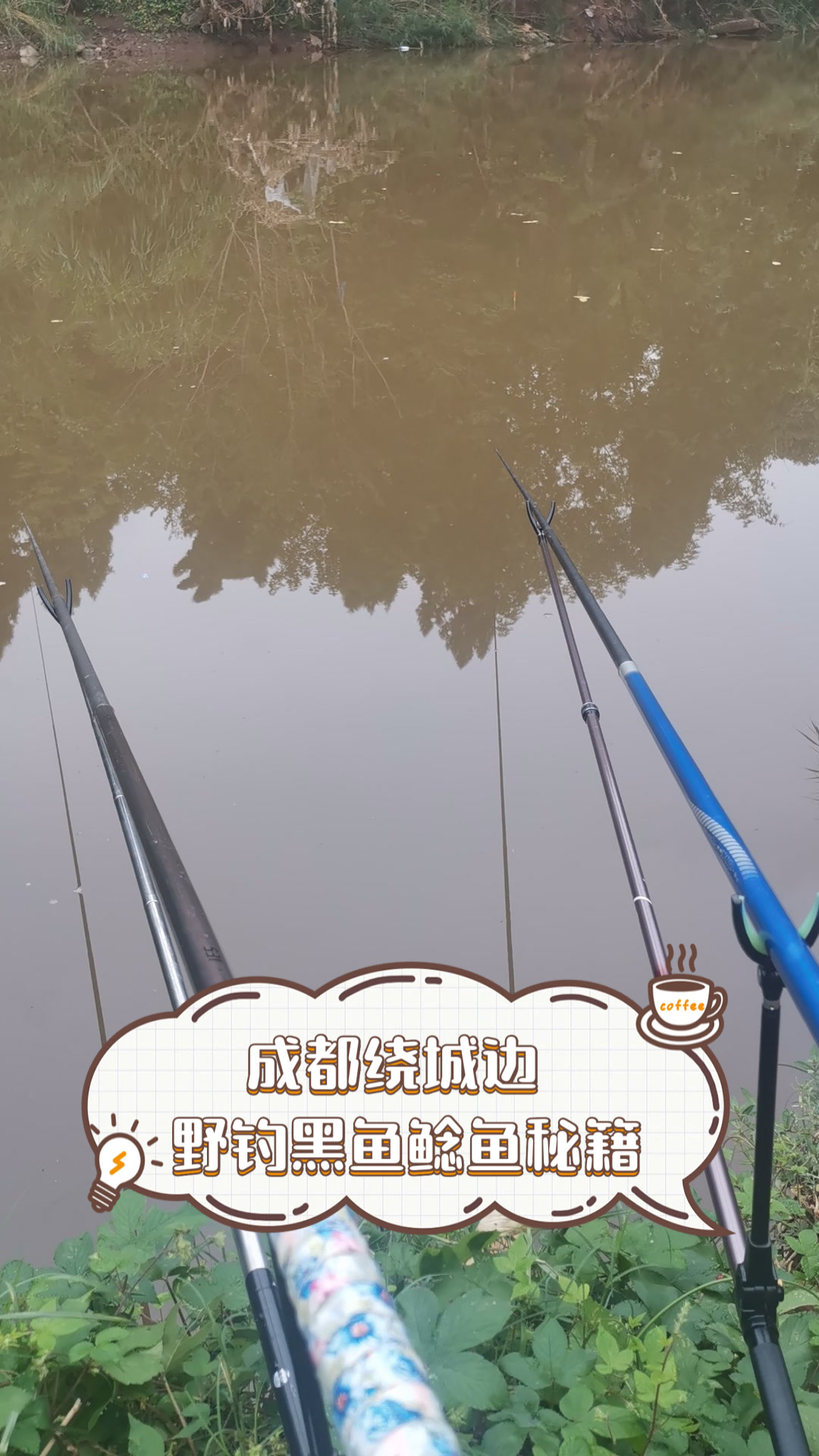 成都绕城边，野钓黑鱼鲶鱼秘籍