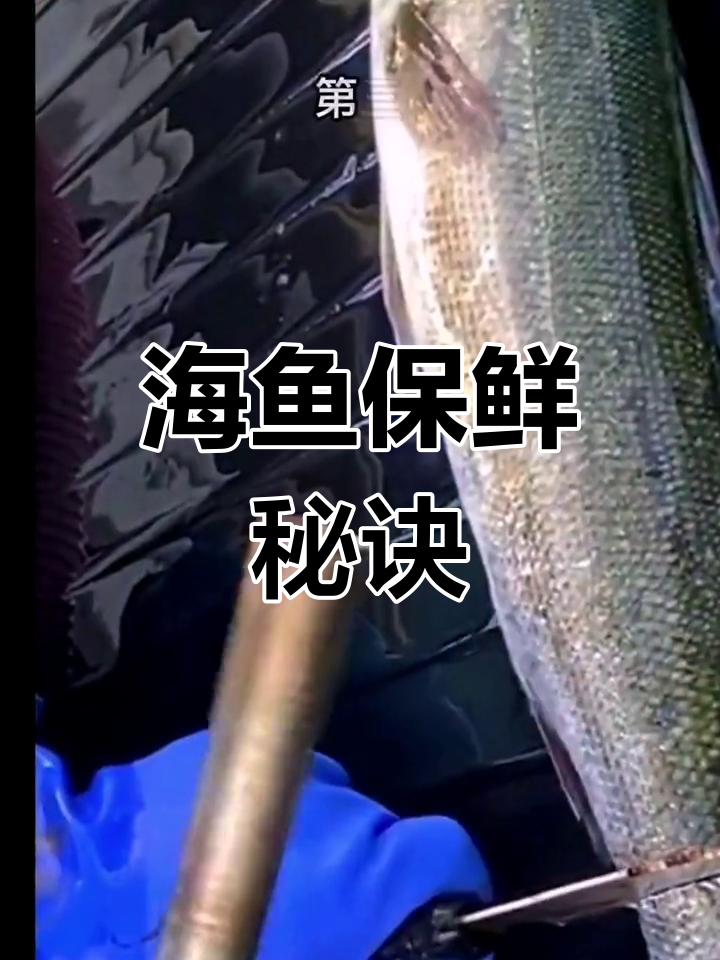 如何让海鱼保持鲜美?60秒教你放血技巧!