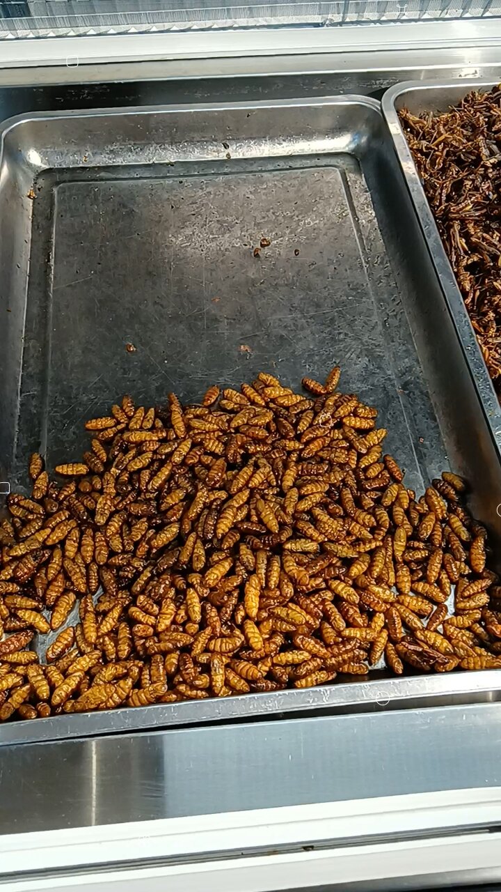 云南美食—炸虫蛹!