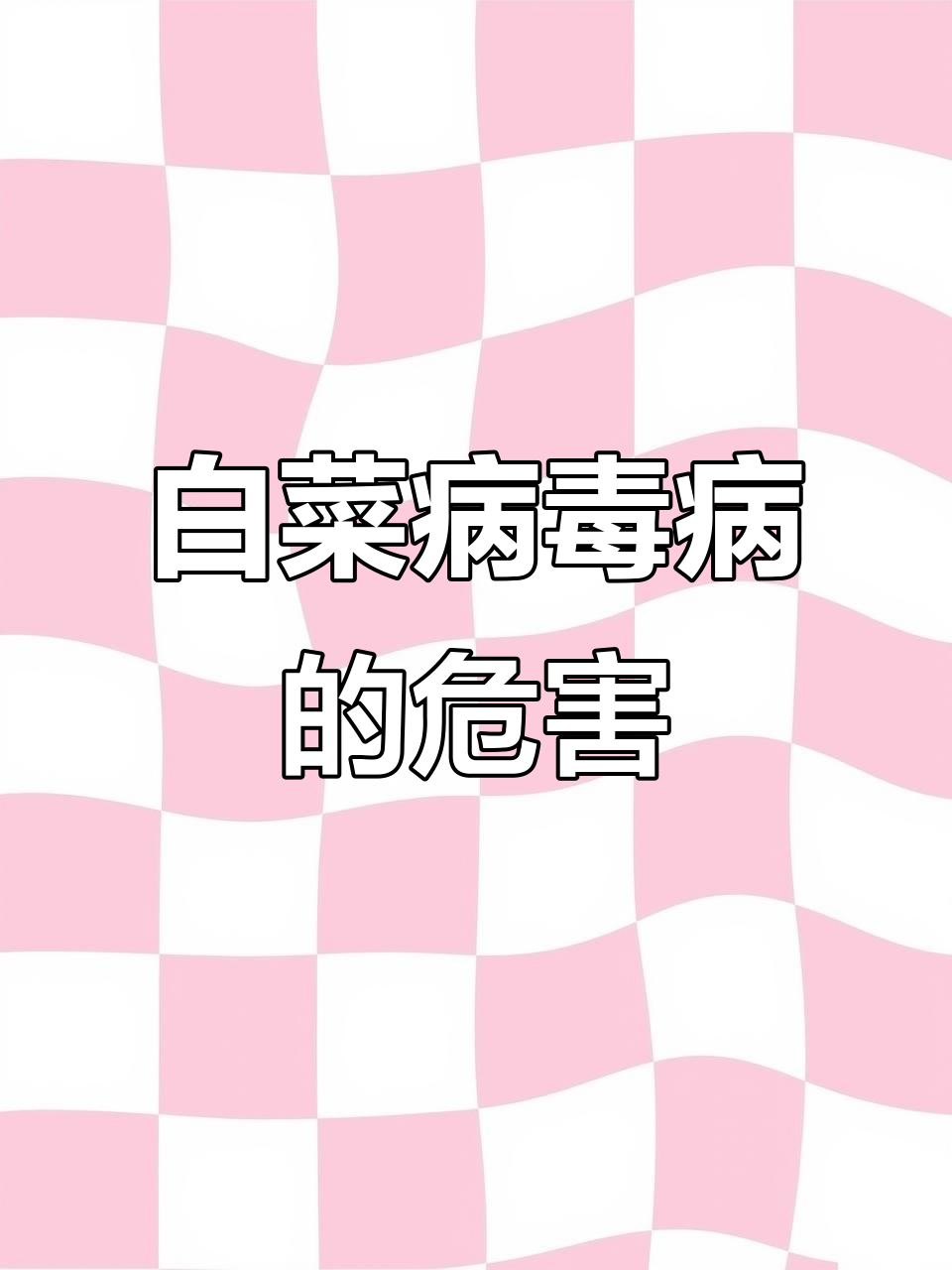 白菜病毒病:高温危害与识别方法