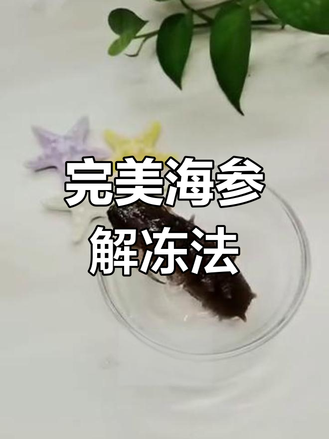 海参解冻技巧大揭秘,正确做法让口感更佳