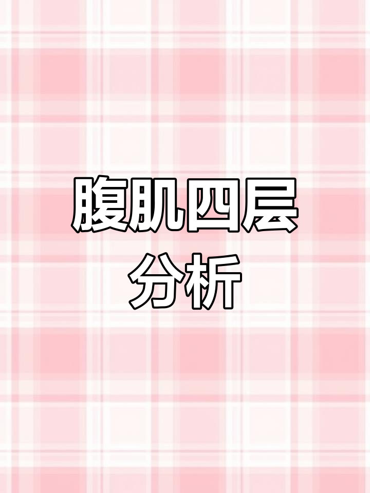 腹部肌肉的解剖结构解析