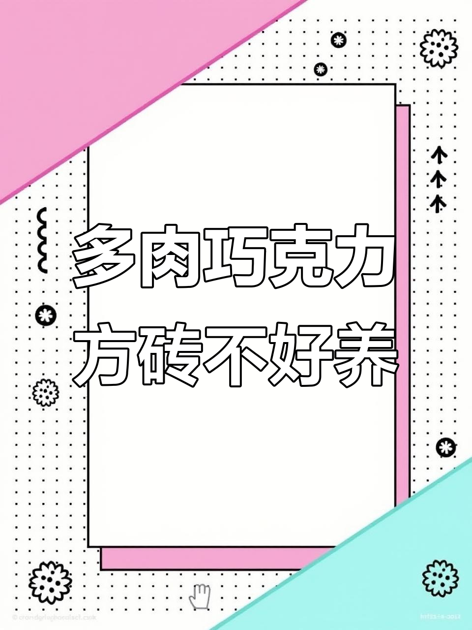 巧克力方砖多肉难养？真菌感染让人头疼