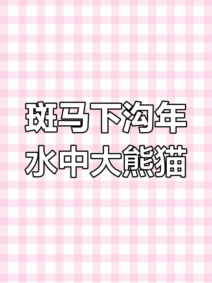 斑马下钩鲇:热带河流中的“熊猫”异形鱼