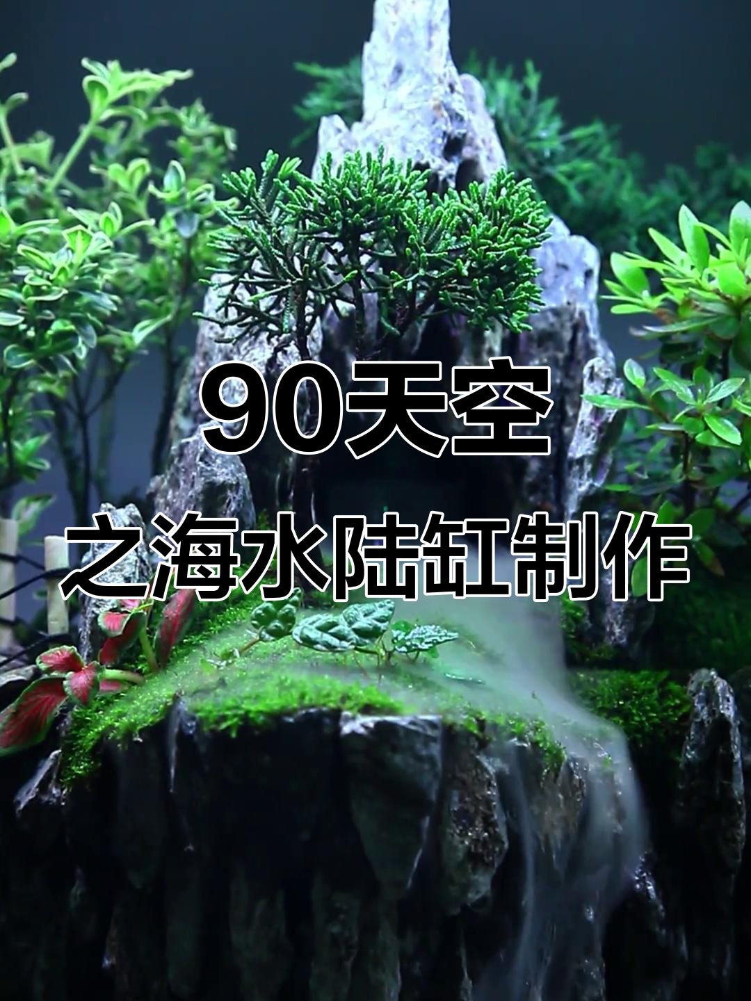 吉林客户定制90天空之城水陆缸,青龙石打造自然景观