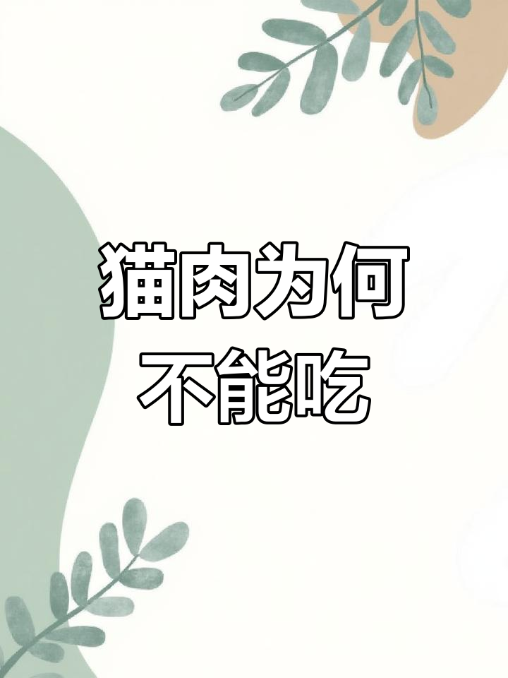 为什么猫肉在中国被禁忌?