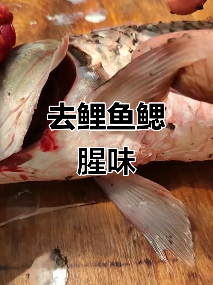 如何轻松去除鲤鱼腮腥味?技巧大公开