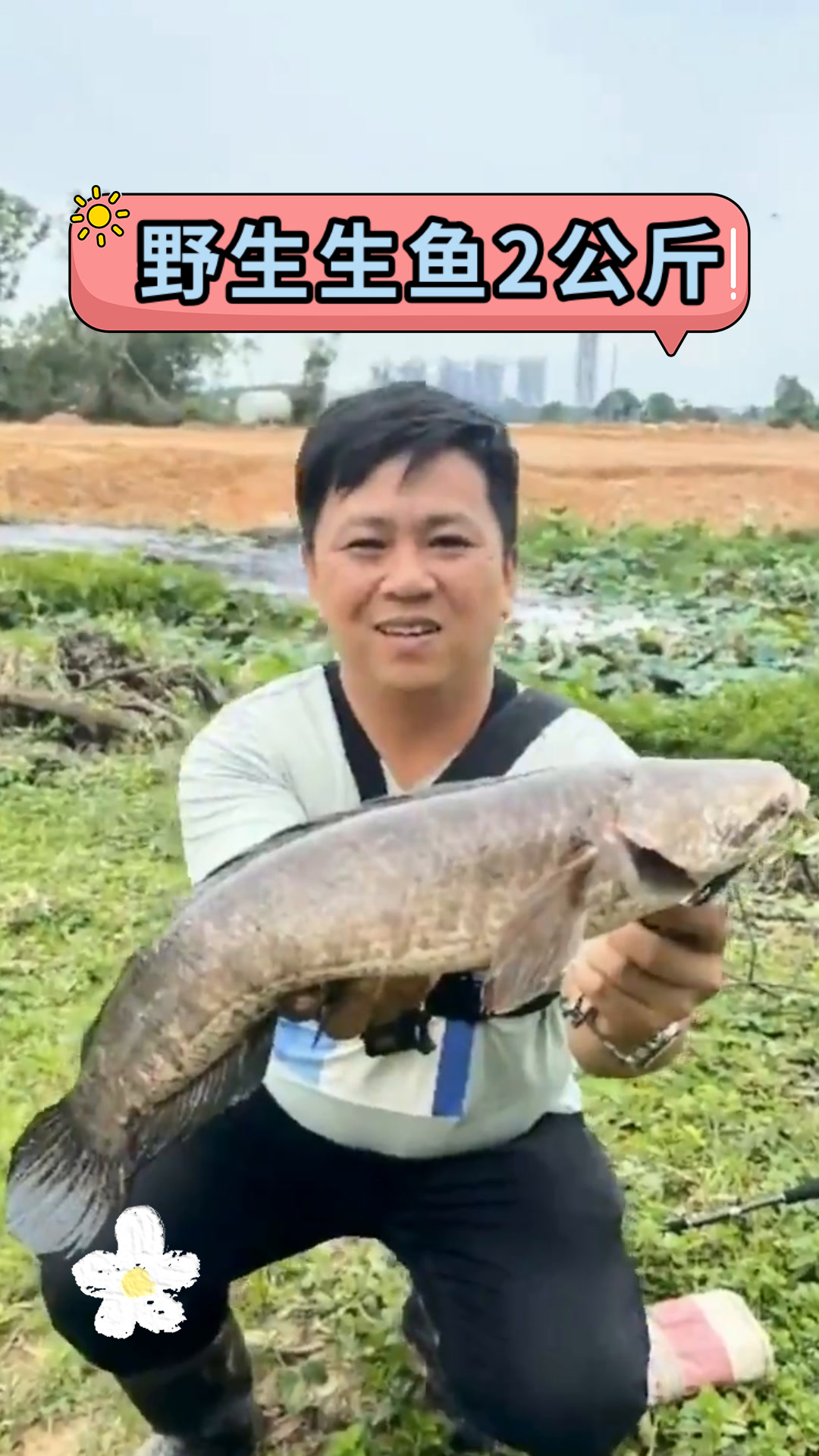 野生生鱼2公斤
