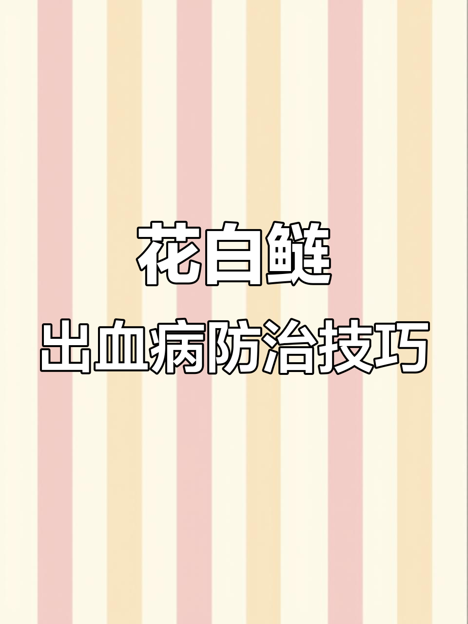 立秋后花白鲢出血病高发，三招应对减少损失