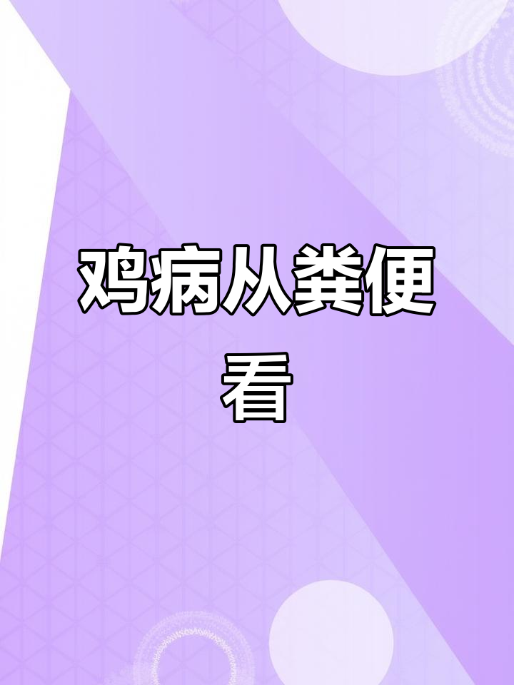 养鸡必知粪便识别，健康预警全解析