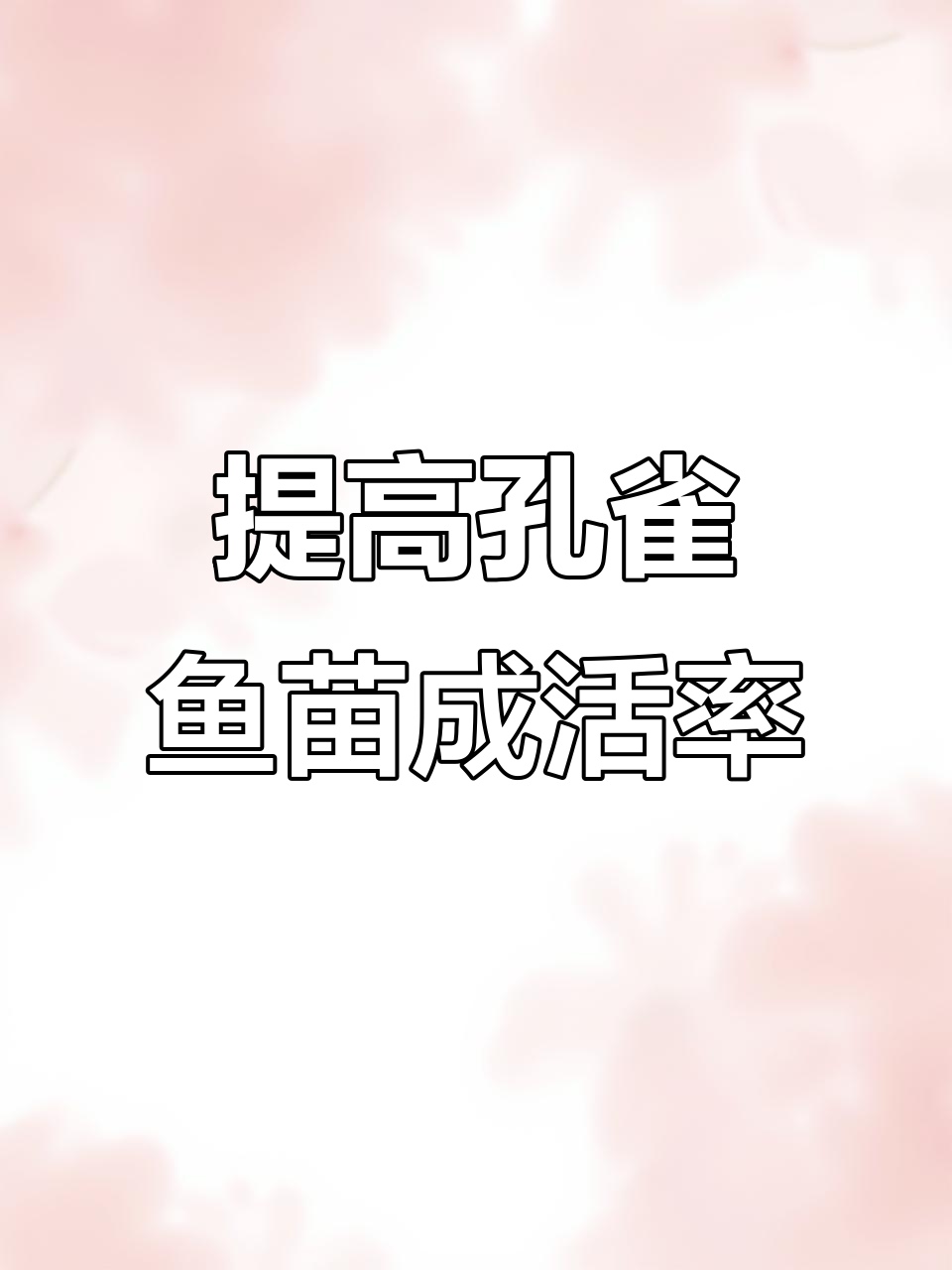 孔雀鱼苗如何提高存活率?关键照顾技巧大公开