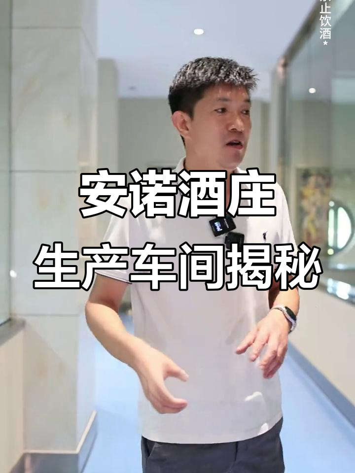 探访安诺酒庄酿造车间,揭秘葡萄酒发酵与储存全过程