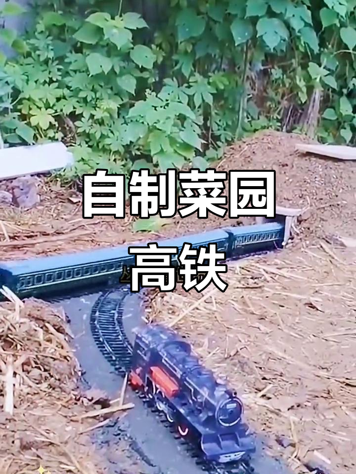 河南小伙在菜园建高铁,模型火车穿越隧道和泥潭大桥