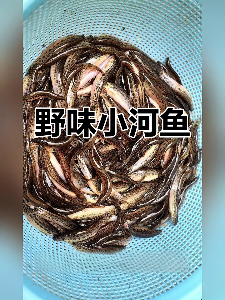 小河鱼,溪流中的野生美味