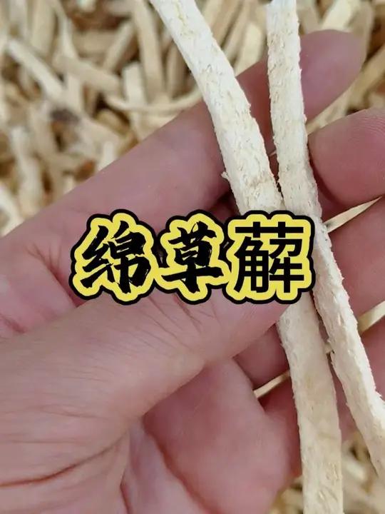 山药切开拉丝?这种“绵草薢”根茎的丝更绵长,韧性超好!今天,带大家去康美中药城看看绵草薢 