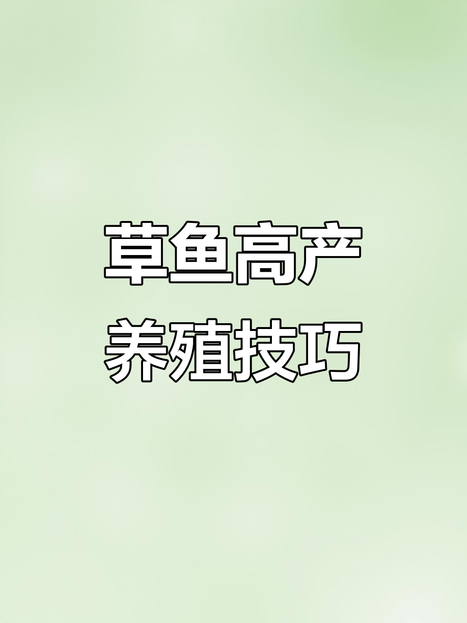 草鱼高效养殖秘诀,亩产8000斤不是梦