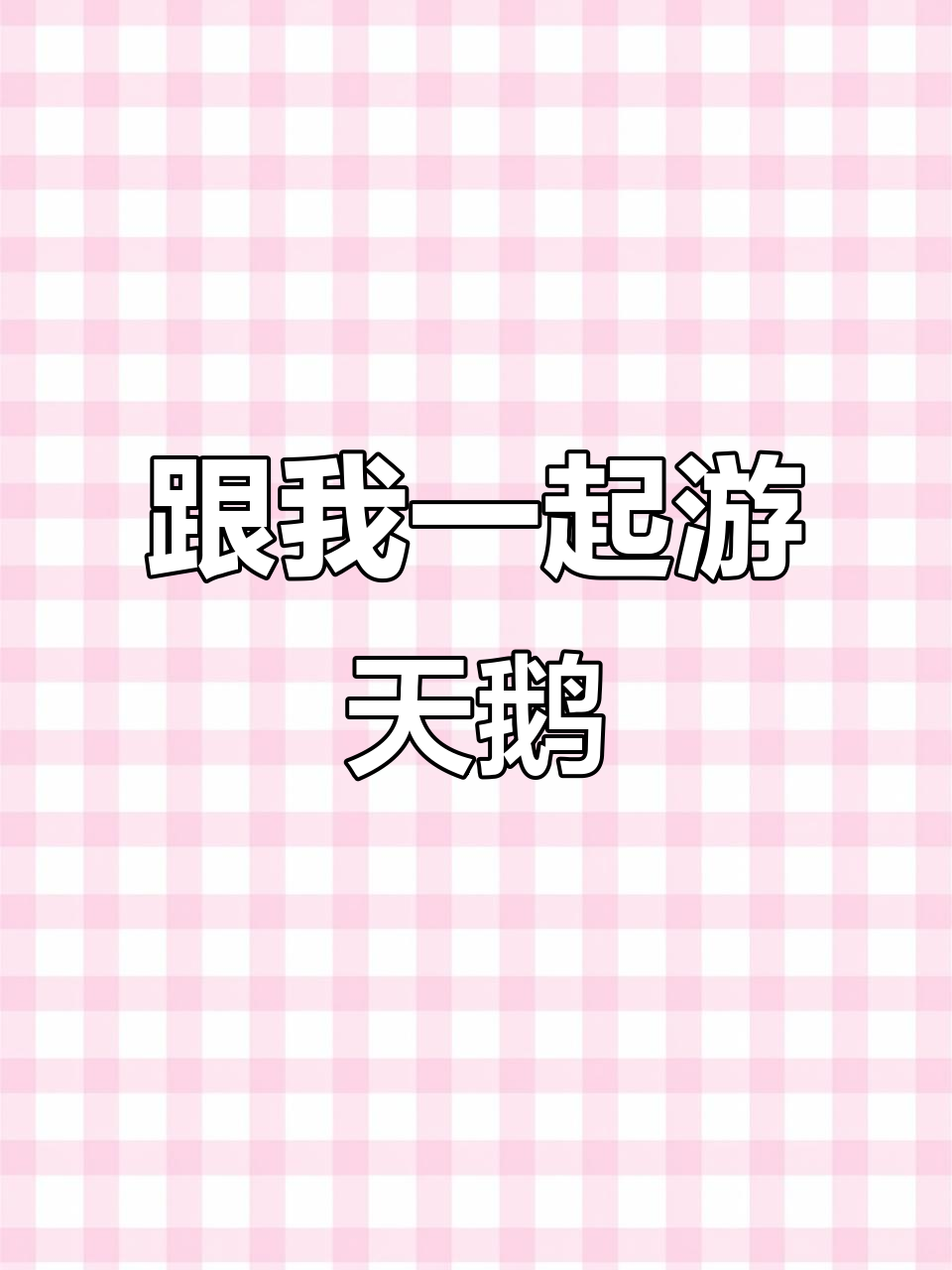 天鹅挑战我游泳，速度太快了！