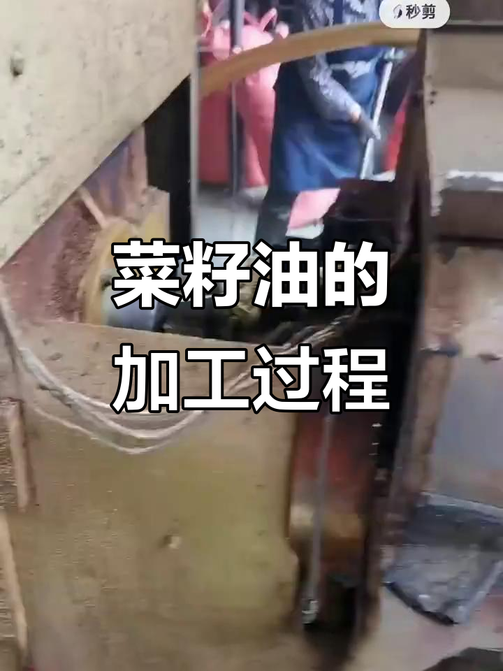 菜籽油制作揭秘:从炒熟到精炼的全程工艺