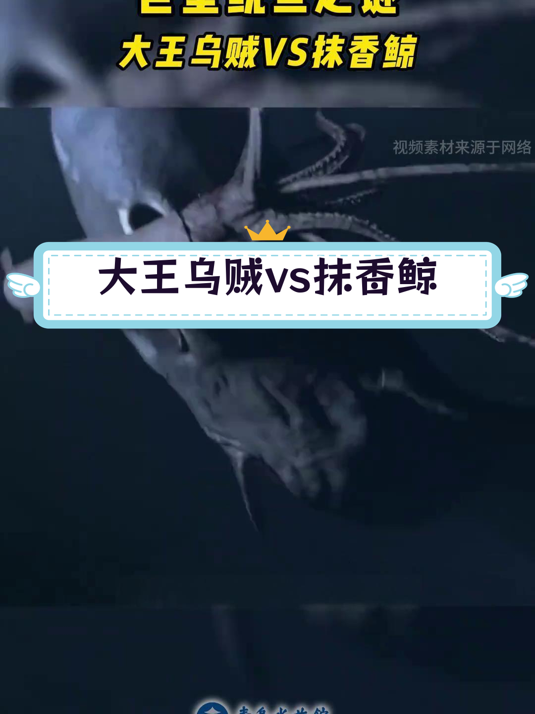 抹香鲸与大王乌贼的深海大战,谁胜谁负?