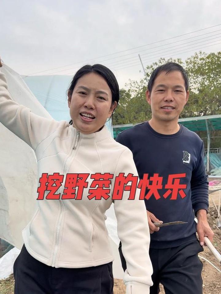 虽然他不爱野辣菜的清苦，却懂我挖野菜时的快乐！