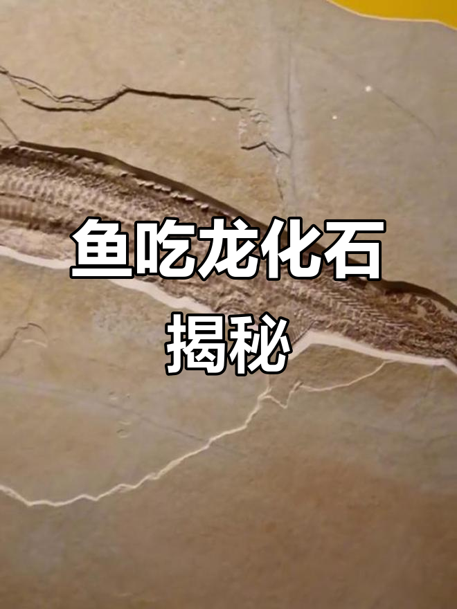 德国发现罕见“鱼吃龙”化石,剑鼻鱼跃出海面捕翼龙