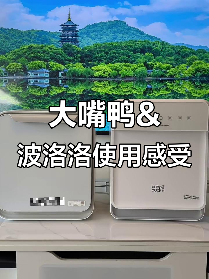 消毒柜与泡奶机对比:菠萝洛VS大嘴鸭,优缺点全解析