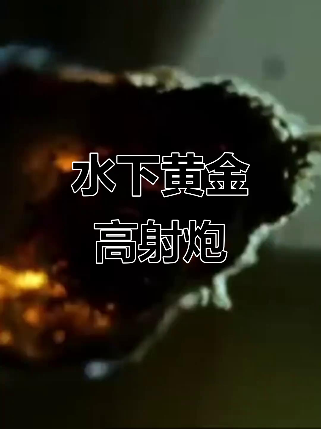 射水鱼:水下高射炮,精准击穿昆虫!