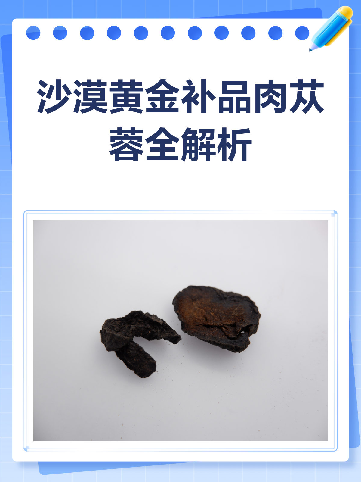 肉苁蓉:沙漠里的“黄金补品”,你了解多少?