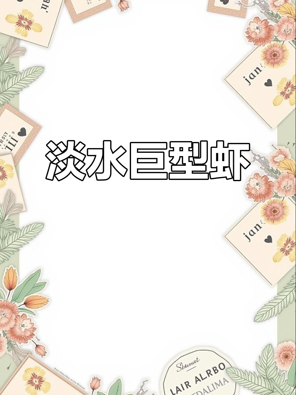 罗氏沼虾,淡水巨无霸,养鱼螃蟹轻松搞定!