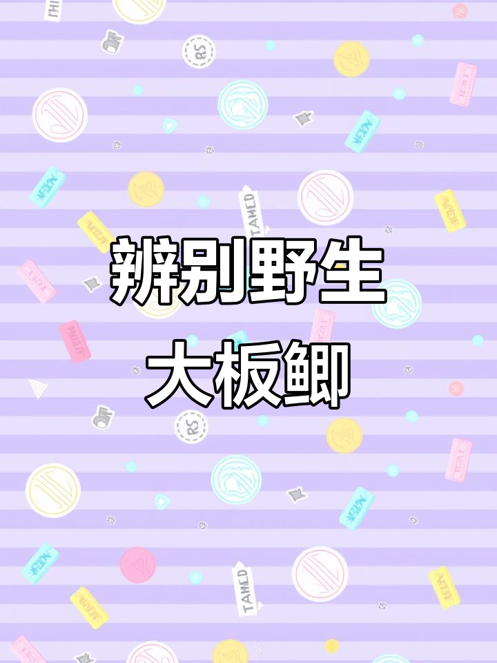 如何分辨野生与养殖鲫鱼?鳞片上的秘密告诉你