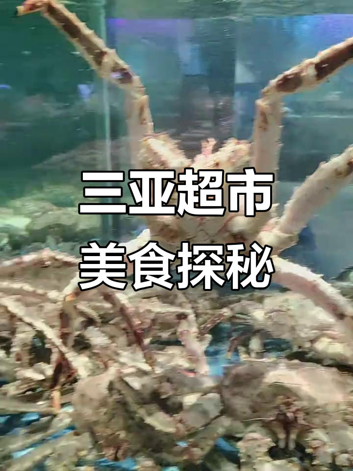 三亚大超市帝王蟹与长春皓月牛肉的奇妙之旅