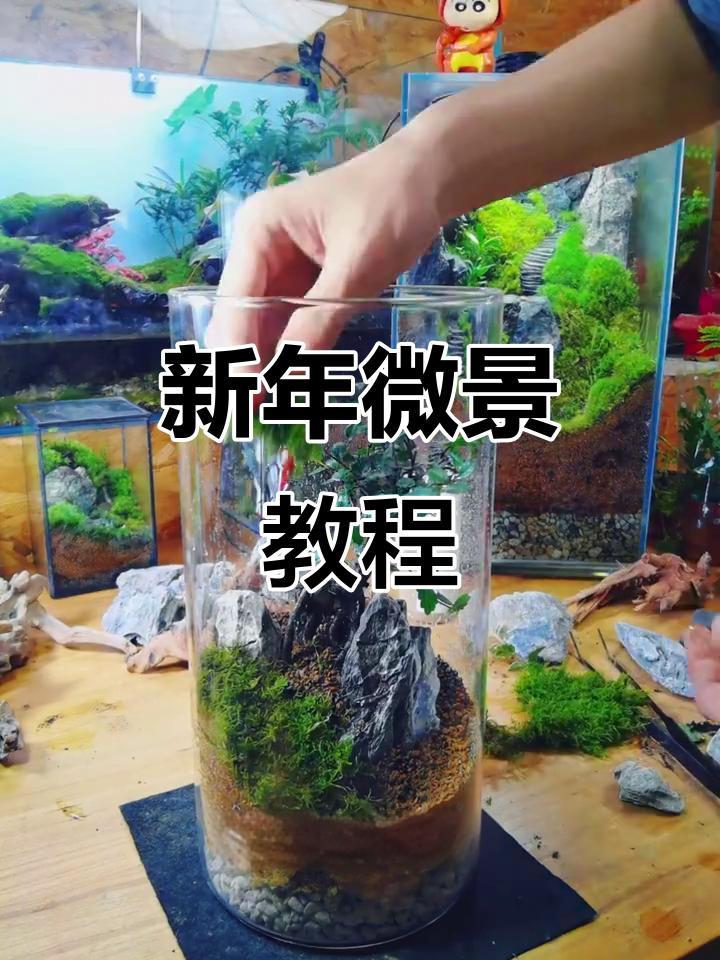 桌面微景观制作全攻略,打造新年礼物