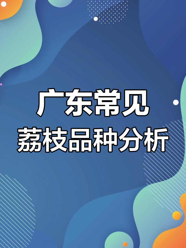 广东六大荔枝品种大揭秘,口感与价格差异全解析