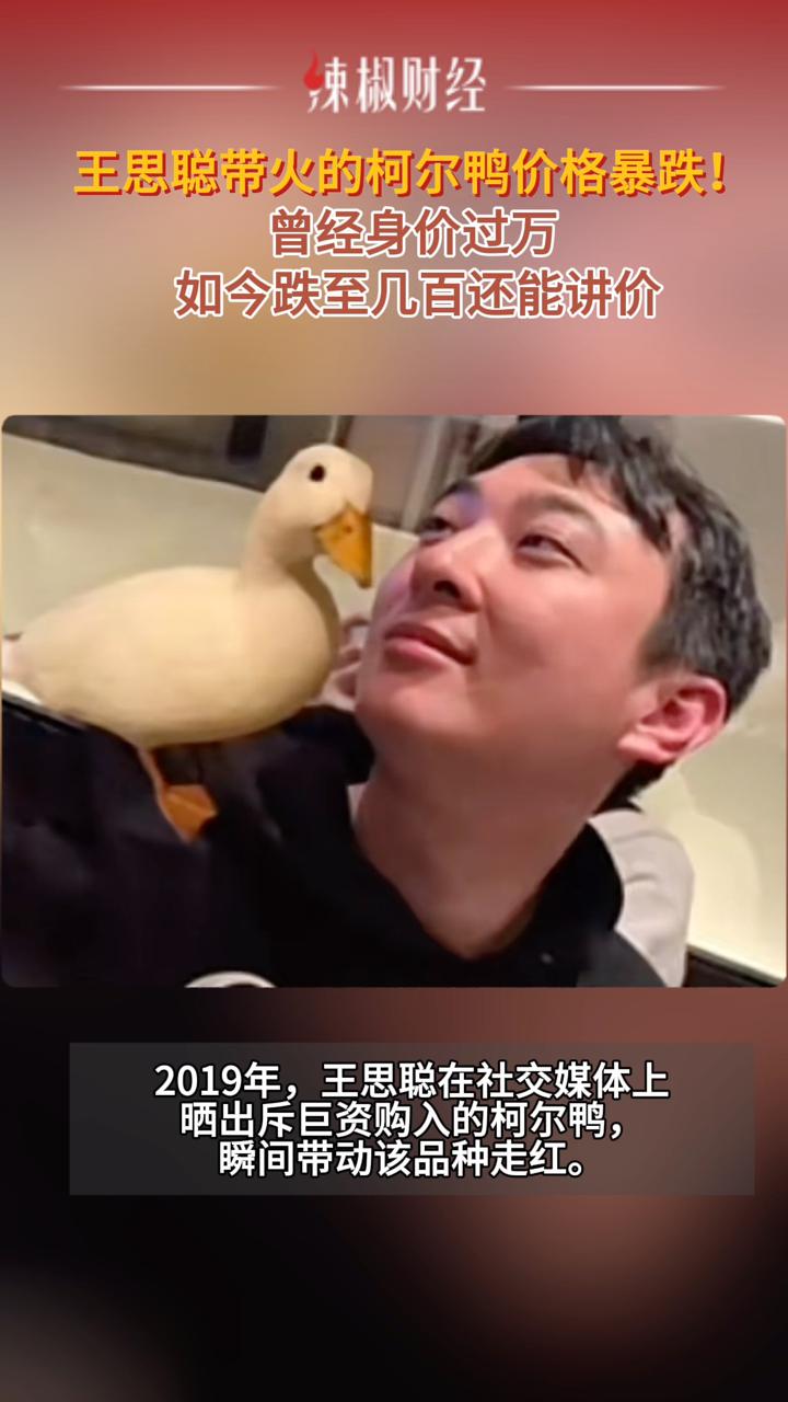 王思聪带火的柯尔鸭价格暴跌!曾经身价过万,如今跌至几百还能讲价