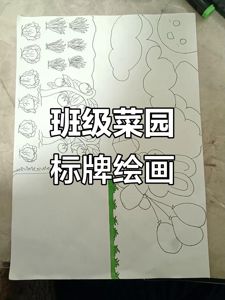 学校班级菜园子创意标牌,学生亲手绘制