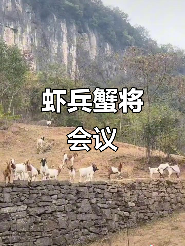 虾兵蟹将大集合,农村养殖生态会议召开