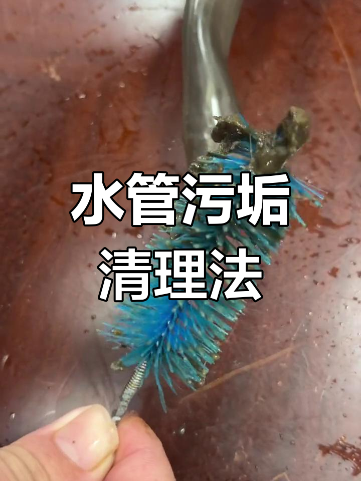 鱼缸水管清洁小技巧,轻松去除污渍