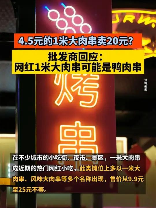 4.5元的1米大肉串卖20元?批发商回应:网红1米大肉串可能是鸭肉串#烧烤 #小吃 #肉串