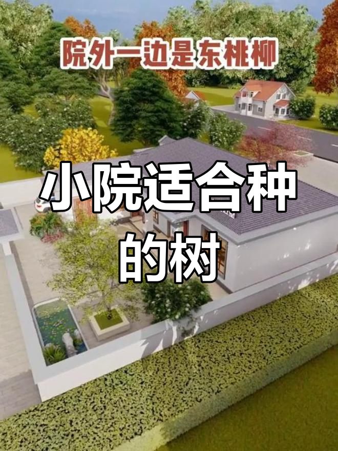 农村小院种什么树最合适?这些选择让你庭院更美