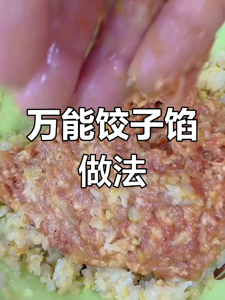 冬至必备万能饺子馅,轻松学会做猪肉酸菜和韭菜馅